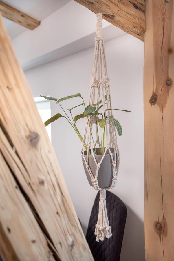 Apartament Nowy Swiat 1 格利维采 外观 照片
